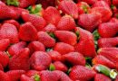 It’s Strawberry Time! – The FamilyFunPittsburgh Guide to Strawberry Festivals and Pick-Your-Own